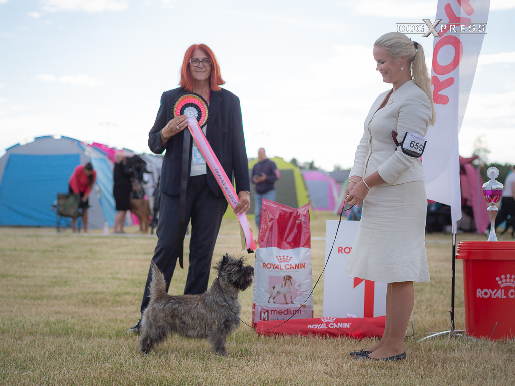 Voittaja Puppy show BIS